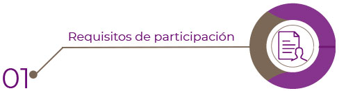 1. Requisitos de Participación