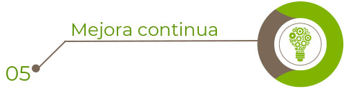 5. Mejora continua