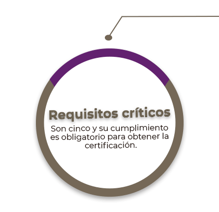 Requisitos críticos
