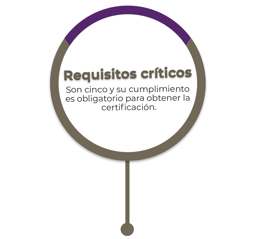 Requisitos críticos