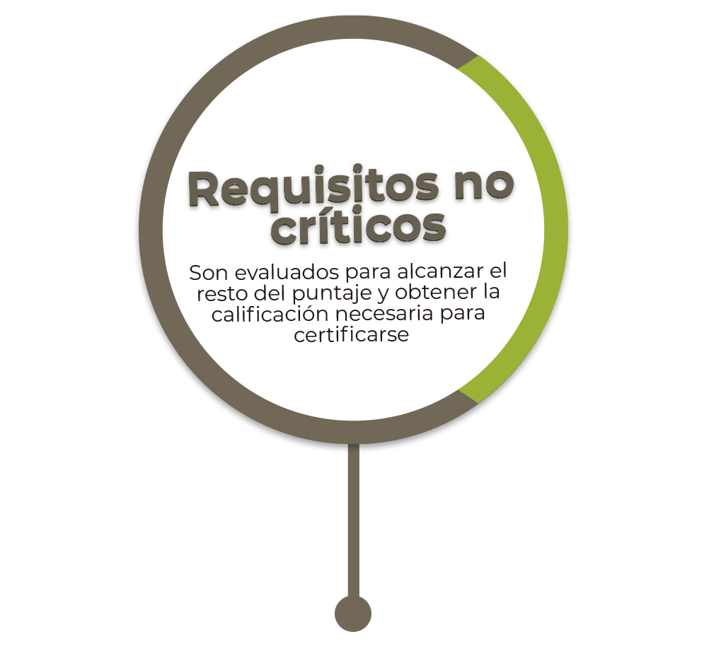 Requisitos no críticos